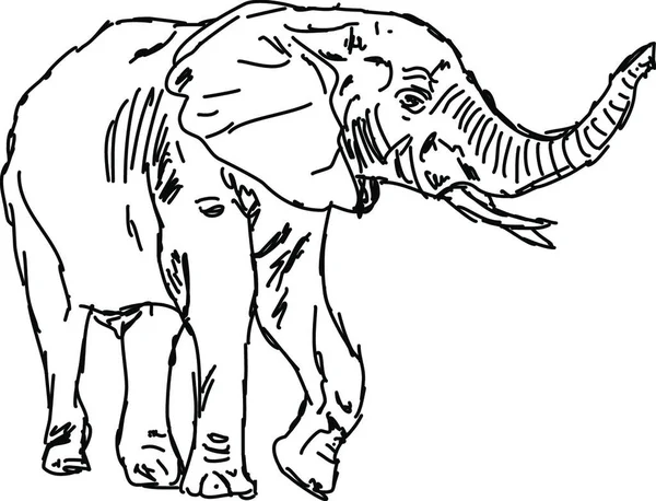 一只可爱的大象的矢量图解 — 图库矢量图片