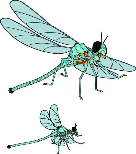 Model Dragonfly Illustration Vector White Background — Stock Vector