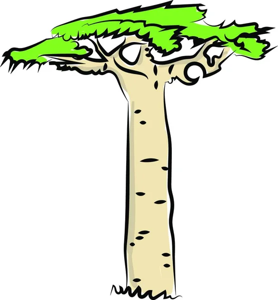 Μεγάλο Λίπος Δέντρο Εικόνα Διάνυσμα Λευκό Φόντο — Διανυσματικό Αρχείο