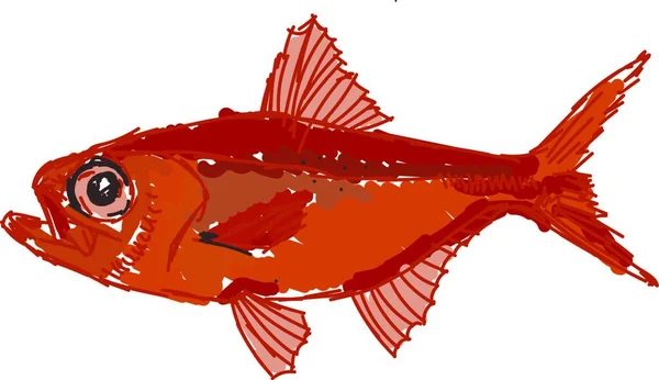 Röd Beryx Fisk Illustration Vektor Vit Bakgrund — Stock vektor