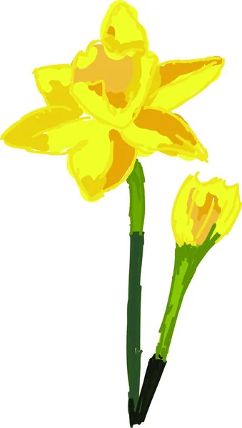 Желтый Цветок Лилии Белом Фоне — стоковый вектор