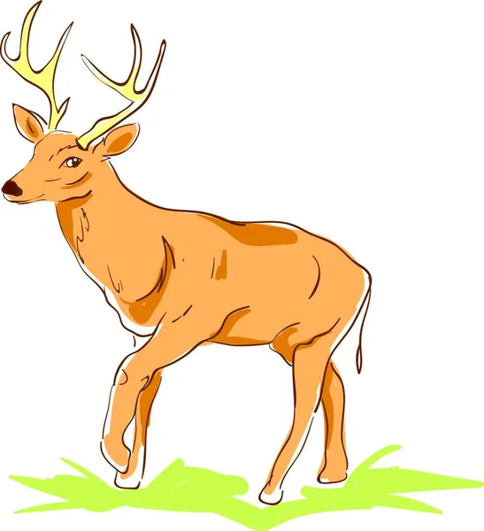 有鹿角的鹿画 — 图库矢量图片