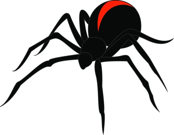 Černý Pavouk Ilustrace Vektor Bílém Pozadí — Stockový vektor
