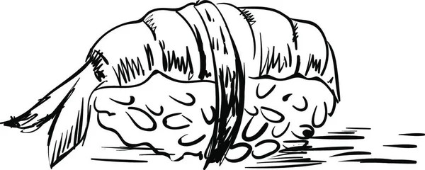 Dibujo Rollo Sushi Ilustración Vector Sobre Fondo Blanco — Vector de stock