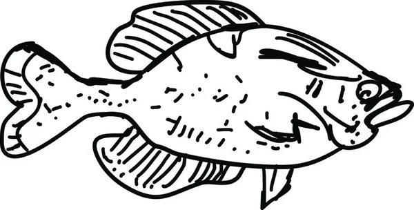 Ilustracja Kreskówki Rekina — Wektor stockowy
