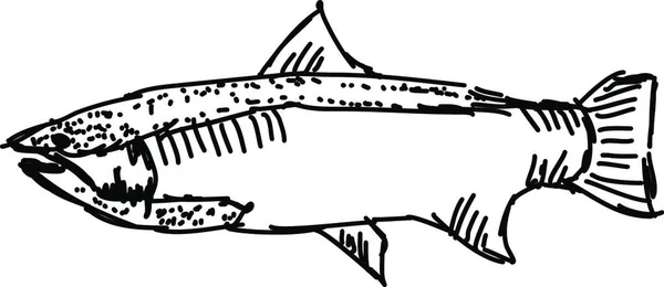 Ψάρια Εικονογράφηση Διάνυσμα Λευκό Φόντο — Διανυσματικό Αρχείο