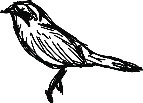 Svart Och Vit Vektor Illustration Fågel — Stock vektor