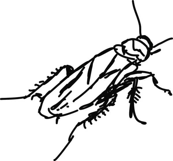 Schizzo Bug Illustrazione Vettore Sfondo Bianco — Vettoriale Stock