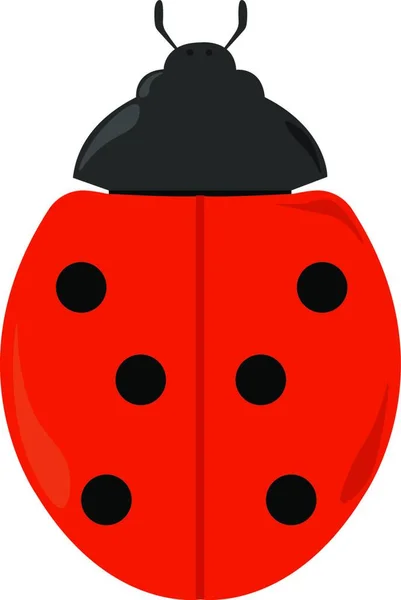 Ladybug White Background — Stock Vector