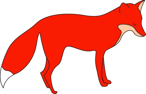 Illustrazione Vettoriale Una Volpe Rossa — Vettoriale Stock