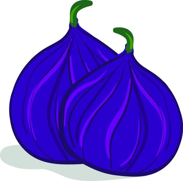 Dos Frutas Frescas Suaves Forma Pera Higo Con Piel Púrpura — Archivo Imágenes Vectoriales