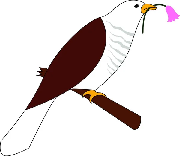 Illustration Oiseau Avec Une Chauve Souris — Image vectorielle