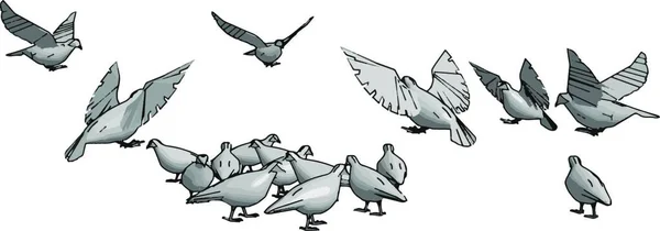 Vögel Himmel Illustration Vektor Auf Weißem Hintergrund — Stockvektor