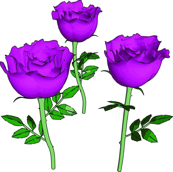 Wektor Ilustracja Piękne Kwiaty Róży — Wektor stockowy