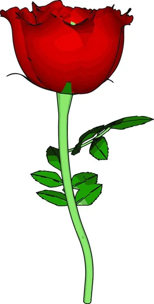 Illustration Red Rose — Stock Vector