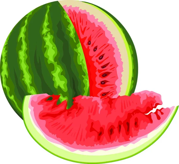 Vektorillustration Einer Wassermelone Mit Einer Scheibe Eines Roten Herzens — Stockvektor