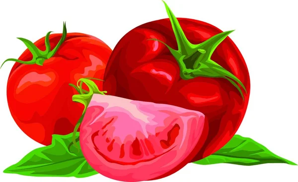 Vector Illustration Red Tomato Cherry — Stock Vector