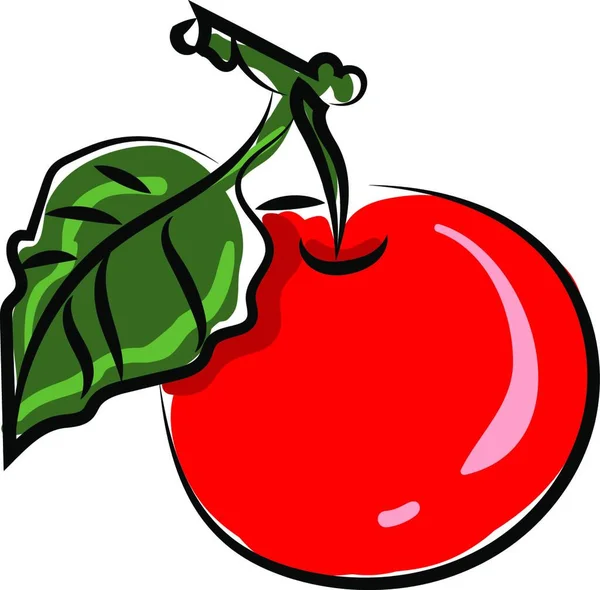 Apfel Mit Blatt Illustration Vektor Auf Weißem Hintergrund — Stockvektor