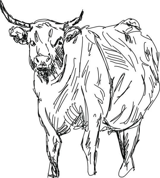 Ilustración Vectorial Una Vaca — Archivo Imágenes Vectoriales
