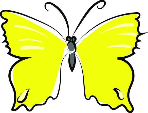 Mariposa Sobre Fondo Blanco — Vector de stock