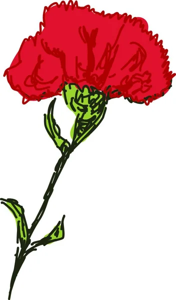 Hermosa Rosa Roja Aislada Sobre Fondo Blanco — Vector de stock