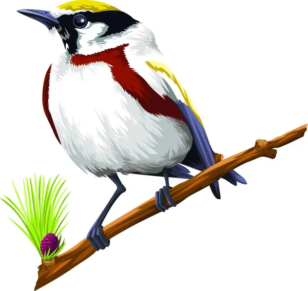 Illustrazione Vettoriale Uccelli Appollaiati Ramo Albero Sfondo Bianco — Vettoriale Stock