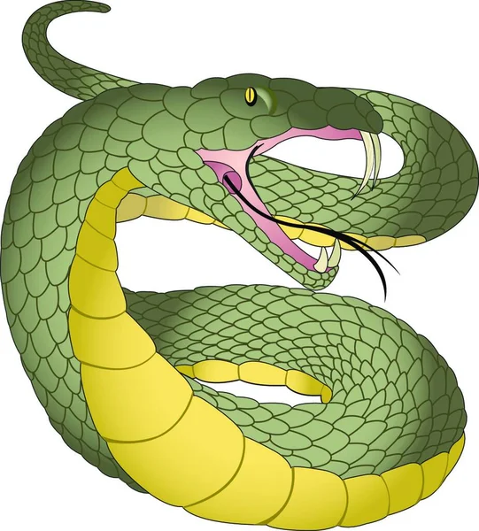 Ilustración Vectorial Serpiente — Archivo Imágenes Vectoriales