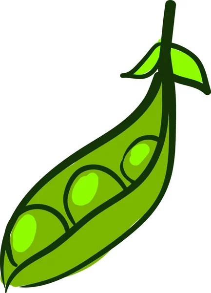 Green Peas Vector Illustration — Stock Vector