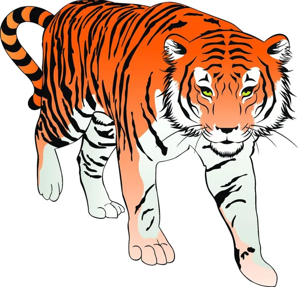 Tiger Orange Schwarz Und Weiß Vektorillustration — Stockvektor