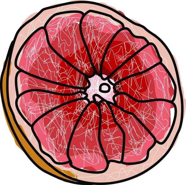 Rote Grapefruit Illustration Vektor Auf Weißem Hintergrund — Stockvektor