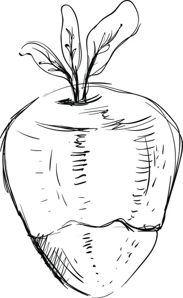 Векторная Иллюстрация Наброска Растения — стоковый вектор