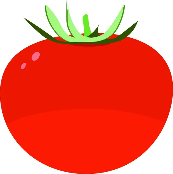 新鮮なトマト イラスト 白い背景にベクトル — ストックベクタ