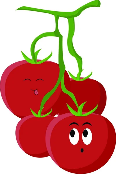 Tomatoes Illustration Vector White Background — Stock Vector