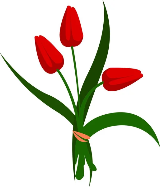 Tulip Illustration Vector White Background — Stock Vector