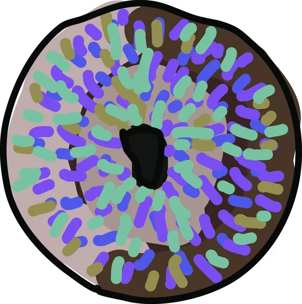 Donut Illustratie Vector Witte Achtergrond — Stockvector