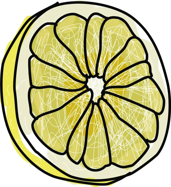 Белый Грейпфрут Иллюстрация Вектор Белом Фоне — стоковый вектор