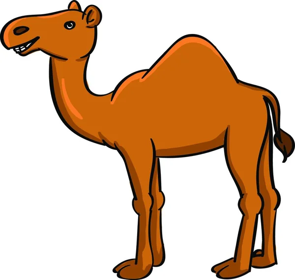 Camel Ilustracja Wektor Białym Tle — Wektor stockowy