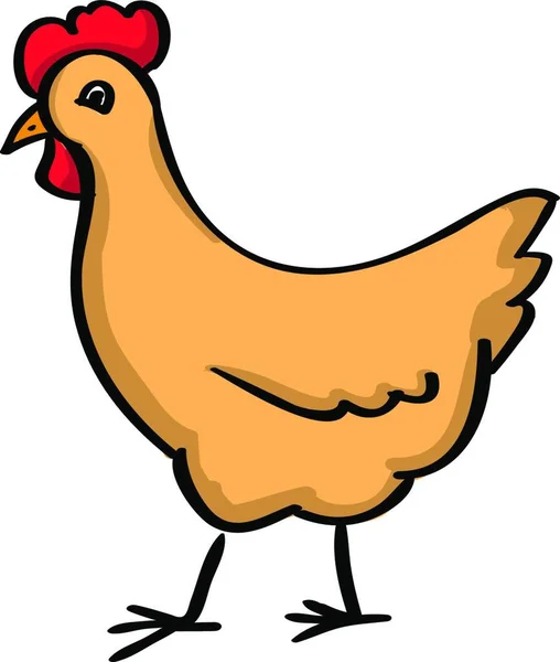 Chicken Illustration Vector White Background — Stock Vector