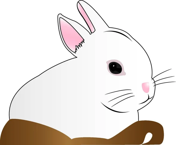 Gambar Garis Ilustrasi Kelinci Putih Dalam Keranjang Coklat Yang Terisolasi - Stok Vektor