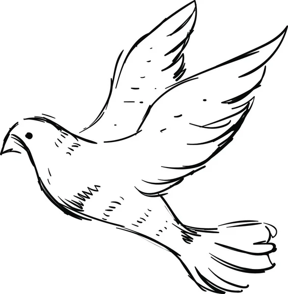 White Dove Illustration Vector White Background — Stock Vector