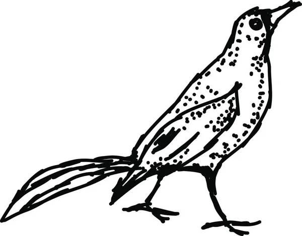 Vogel Tekenen Illustratie Vector Witte Achtergrond — Stockvector