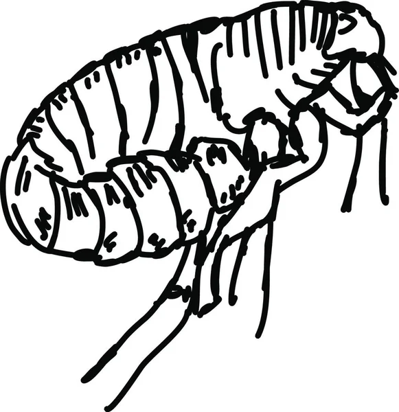 毛虫のスケッチのベクトル図です — ストックベクタ