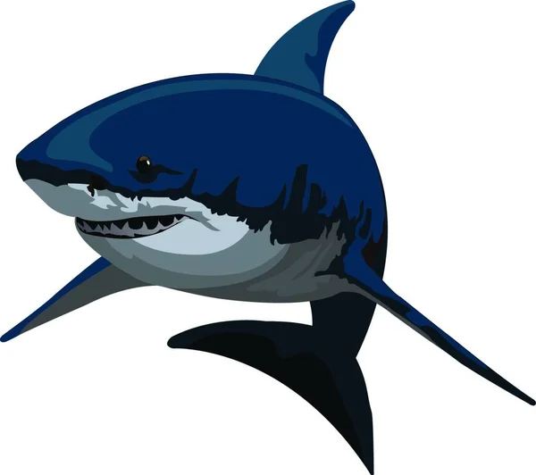鲨鱼嘴的图解 — 图库矢量图片