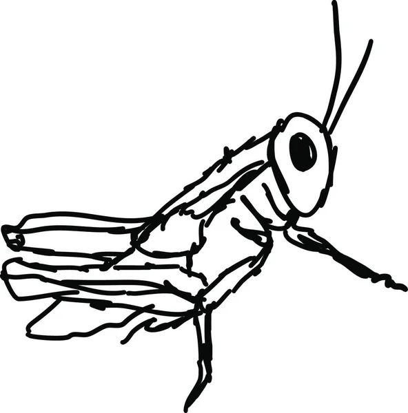 Ilustración Blanco Negro Insecto — Vector de stock