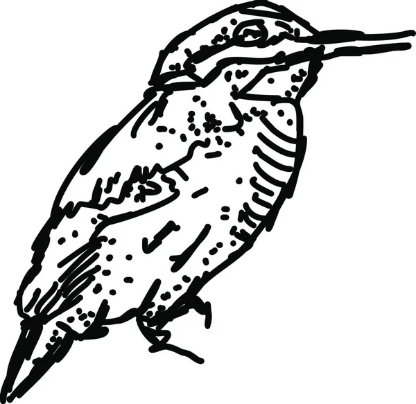 鳥のベクトル図 — ストックベクタ