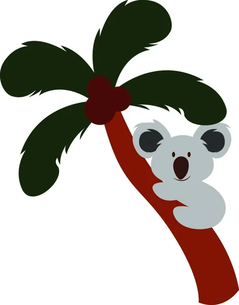 Koala Sobre Palmera Ilustración Vector Sobre Fondo Blanco — Vector de stock