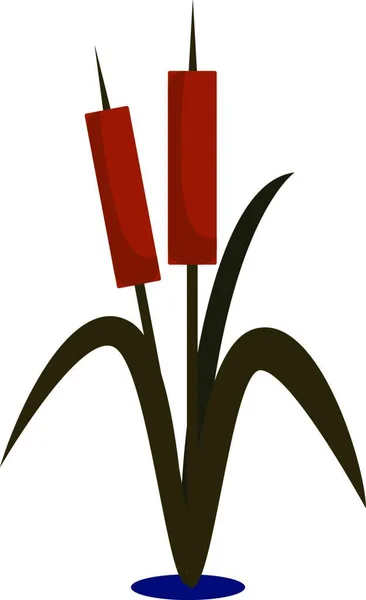 Απεικόνιση Μιας Κόκκινης Και Πράσινης Τουλίπας — Διανυσματικό Αρχείο