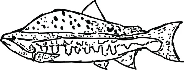 Ryba Ilustracja Wektor Białym Tle — Wektor stockowy