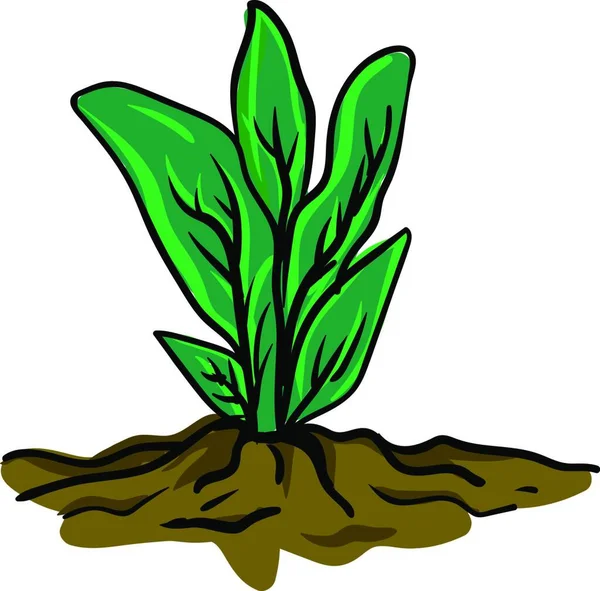 Plant Ground Illustration Vector White Background — Stock Vector