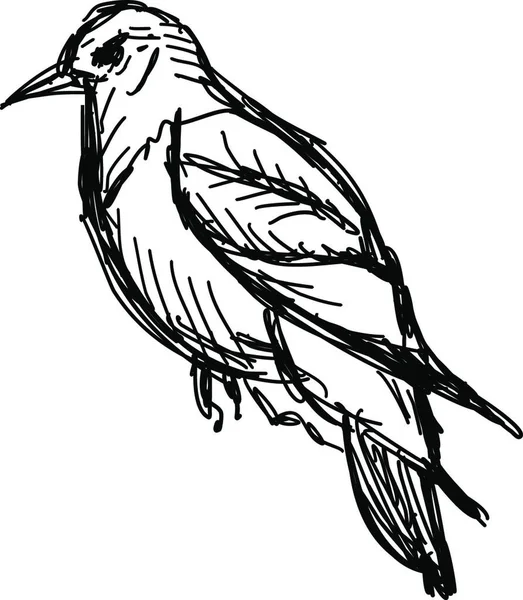 Векторна Ілюстрація Птаха — стоковий вектор